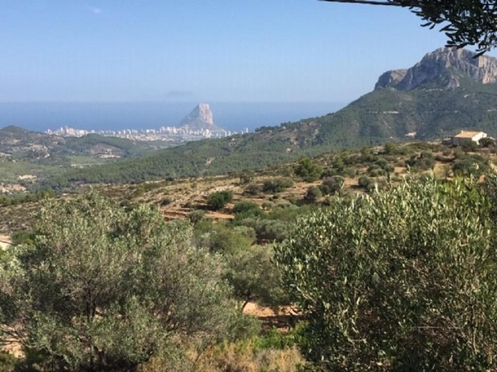 One Bed Apartment Overlooking Jalon Valley, Costa Blanca Alcalali Ngoại thất bức ảnh