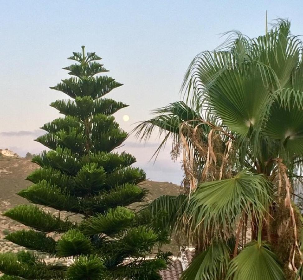 One Bed Apartment Overlooking Jalon Valley, Costa Blanca Alcalali Ngoại thất bức ảnh
